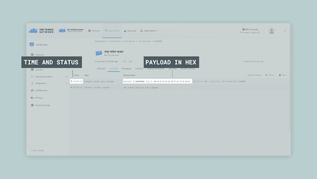 Payload tab in The Things Network console.